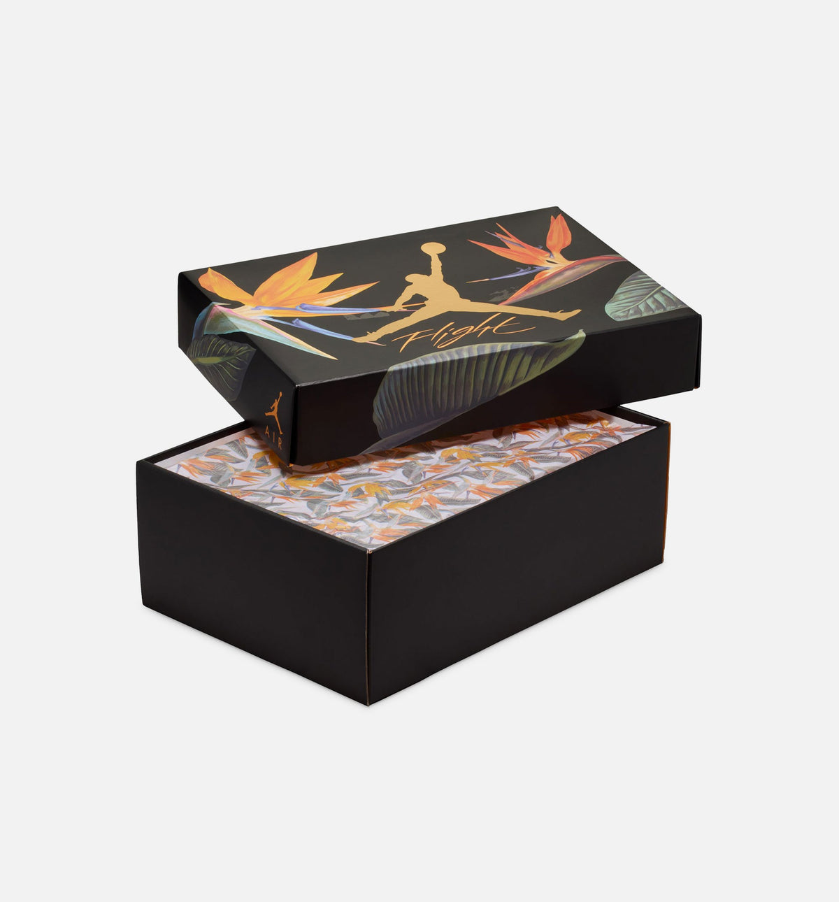 Air Jordan 4 Retro Birds of Paradise Women's Shoes